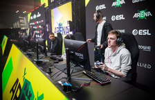 finn