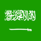 Saudi Arabia logo
